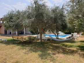 Modern Apartment in Banjole with Pool